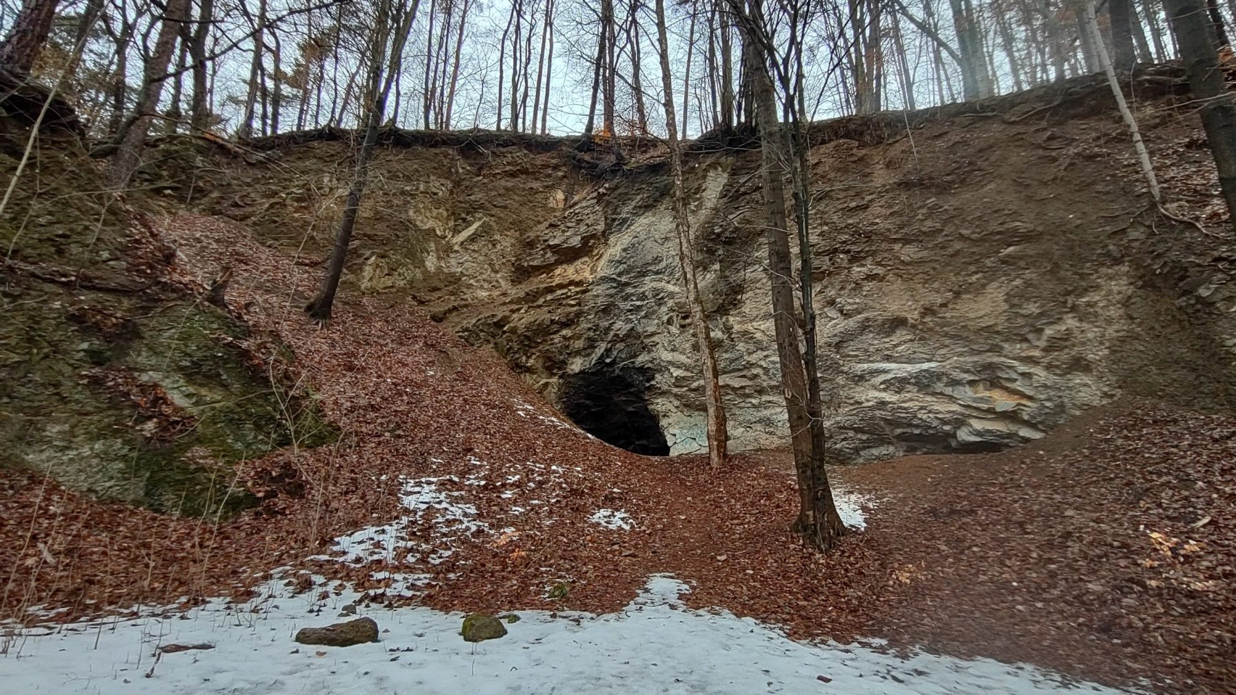 Cave in old quarry