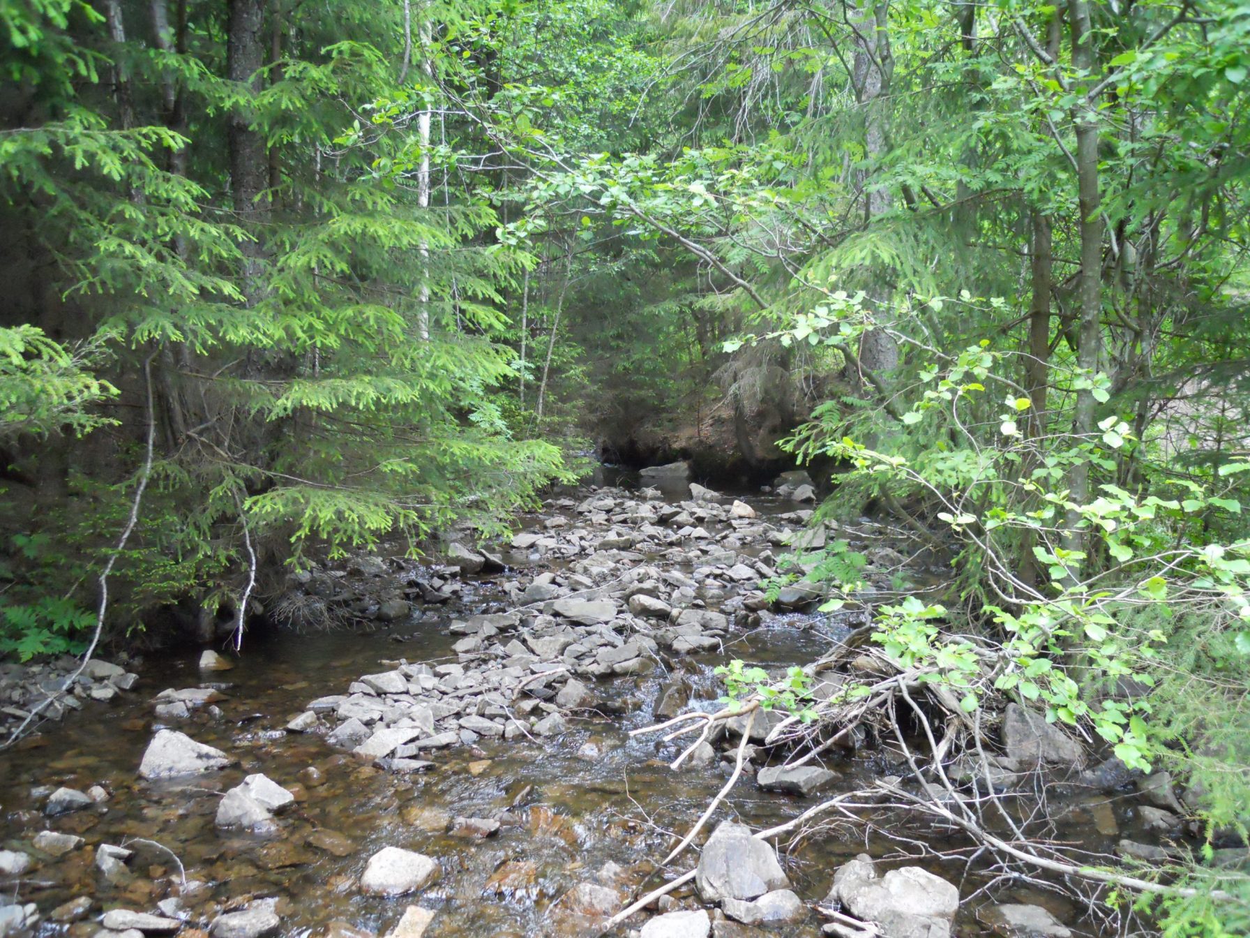 Crossable watercourse
