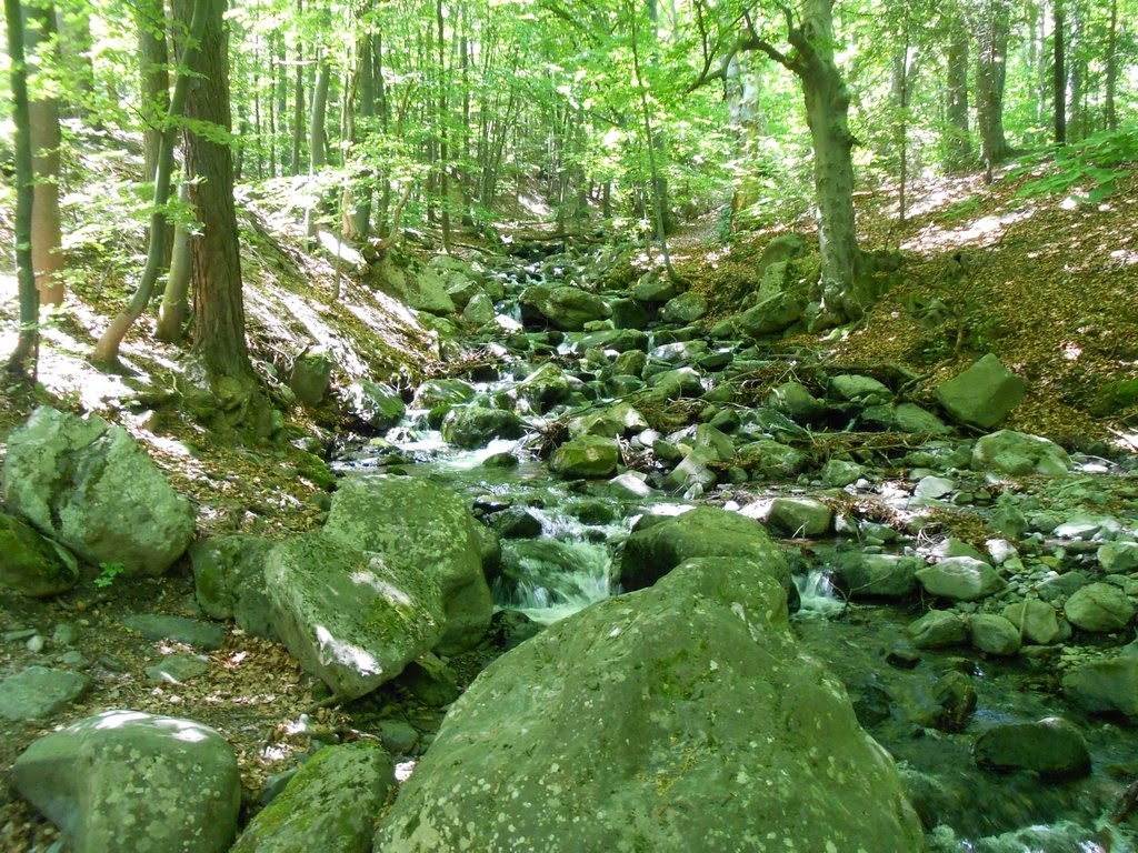 Crossable watercourse