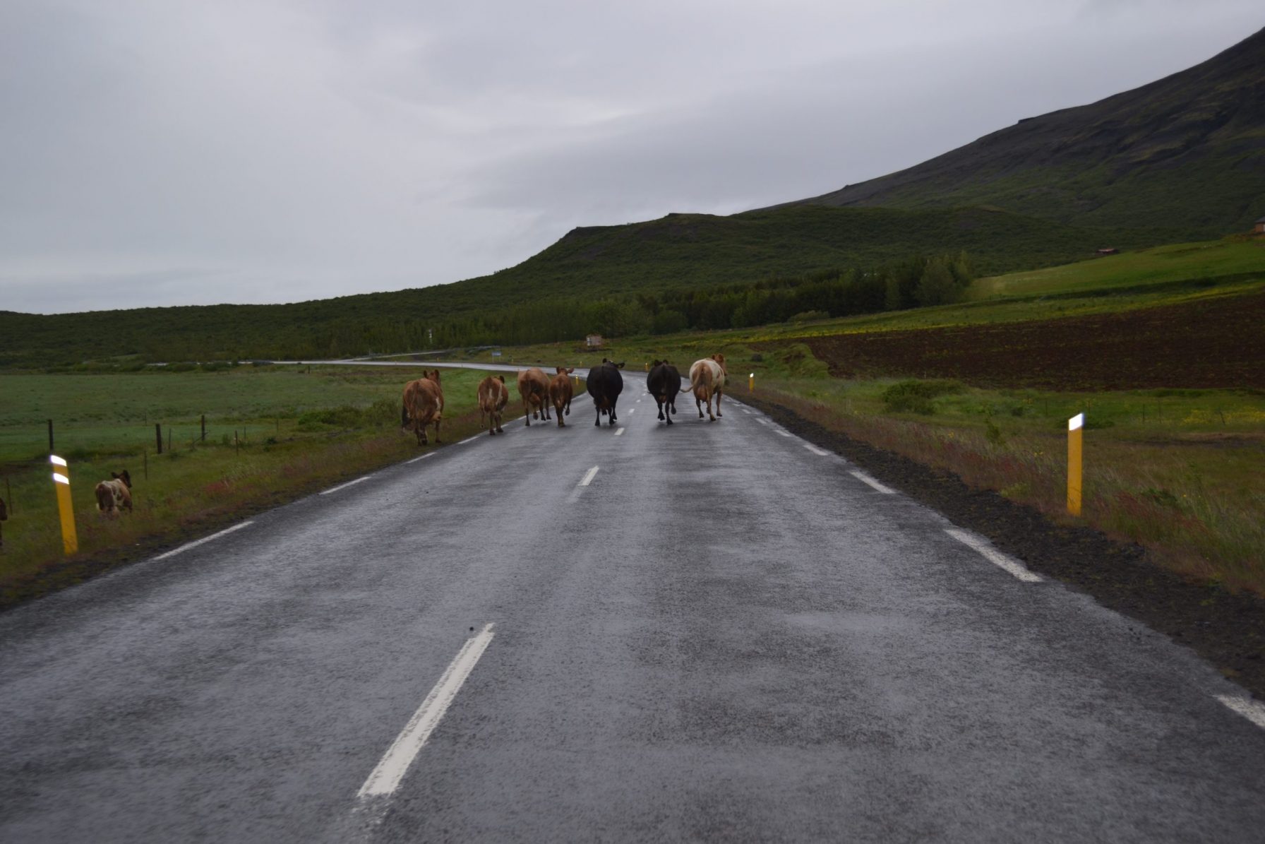 Wide road