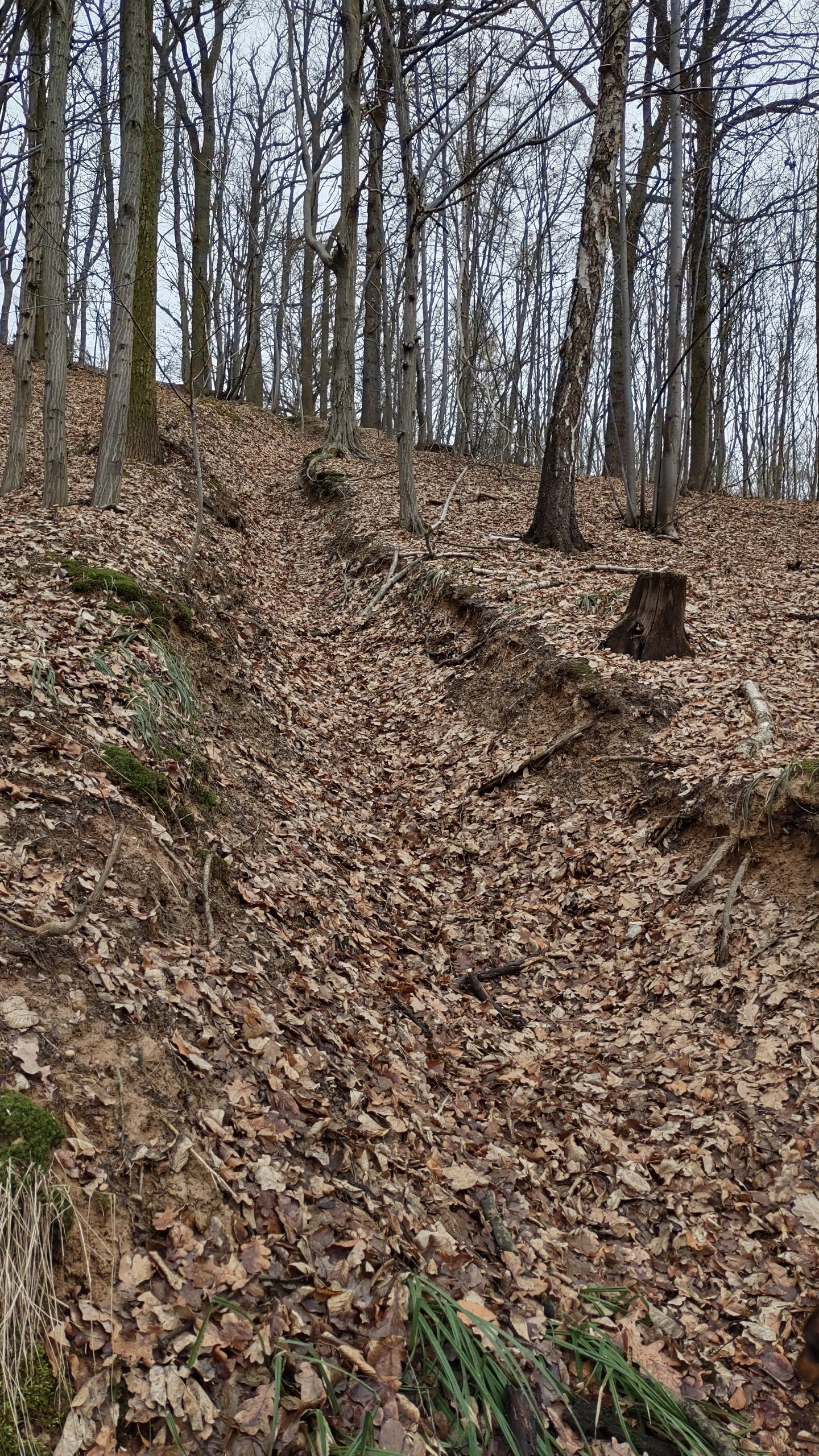 Small erosion gully