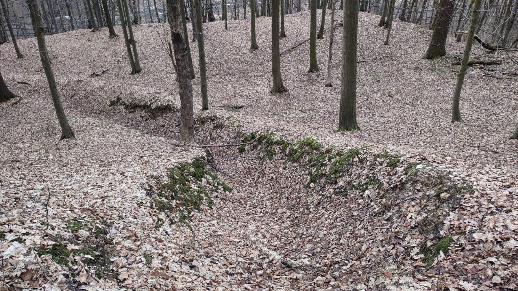 Small erosion gully