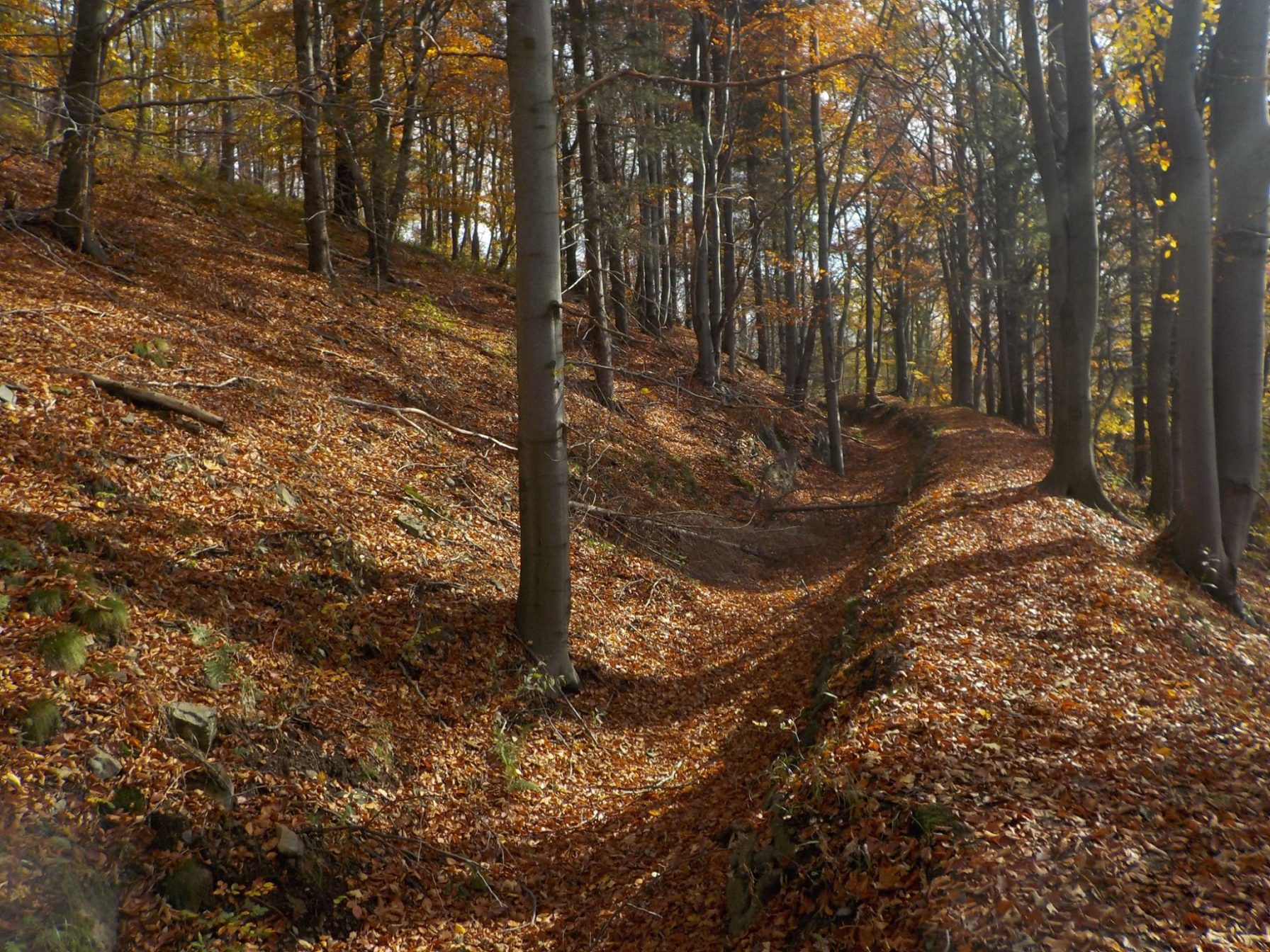 Old dry water channel