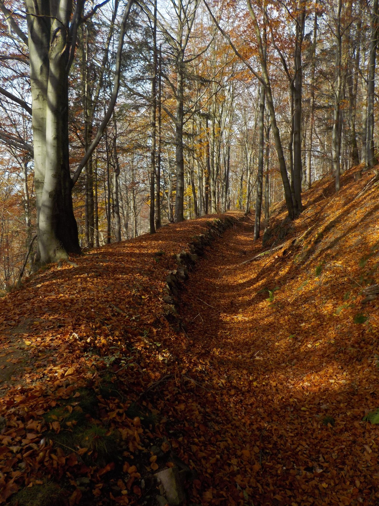 Old dry water channel