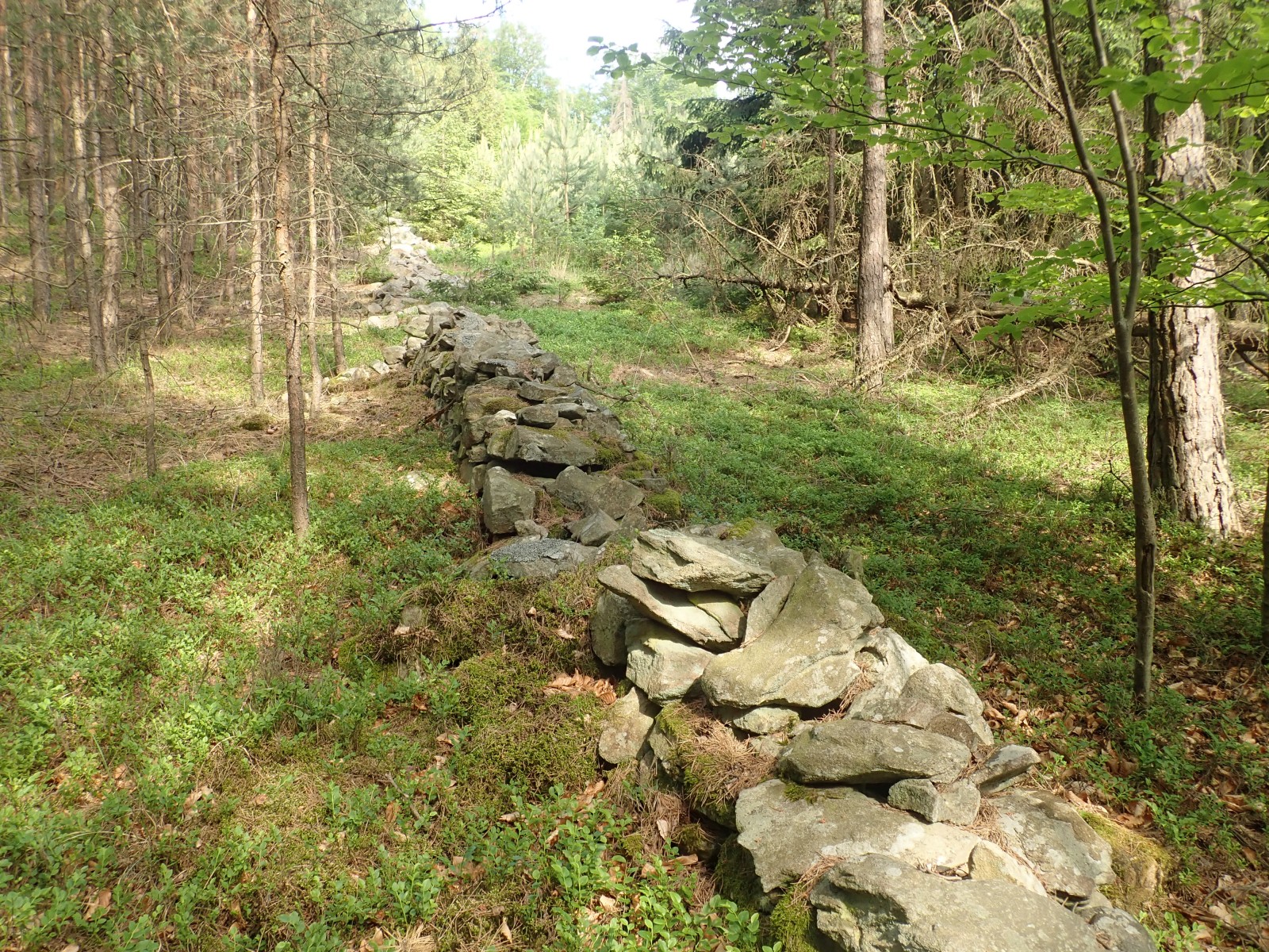 Ruined wall