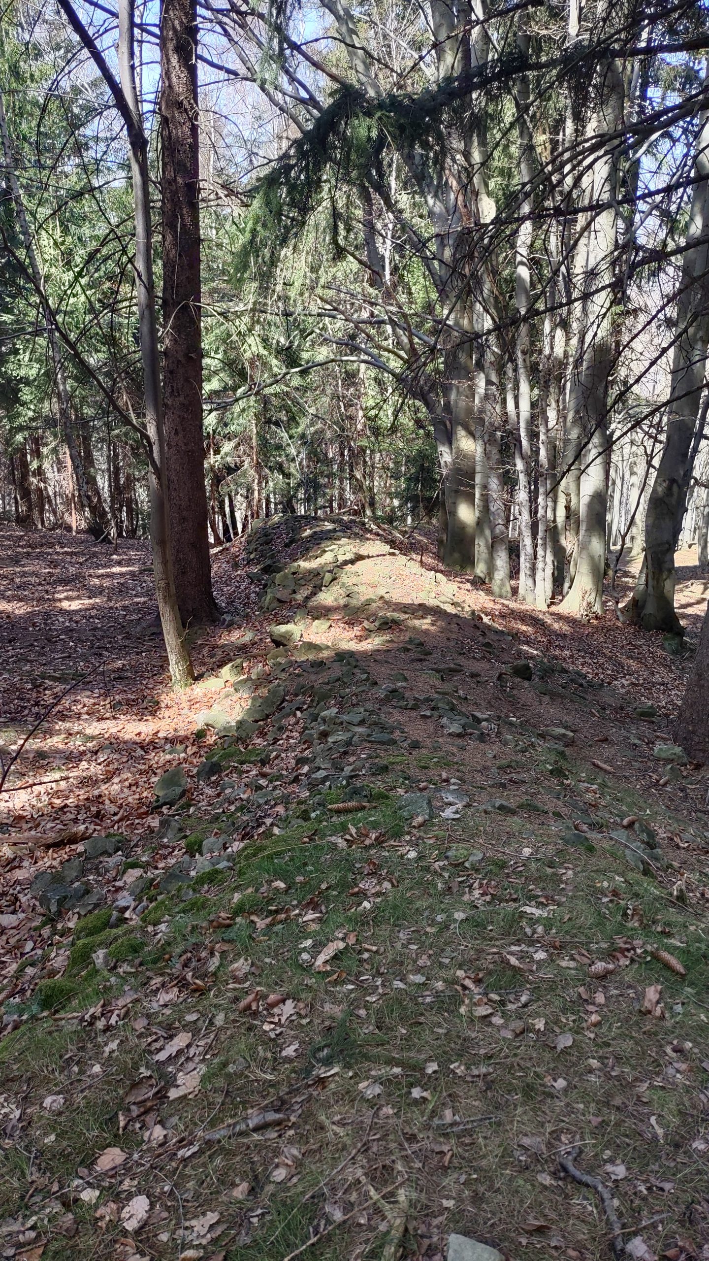 Earth wall