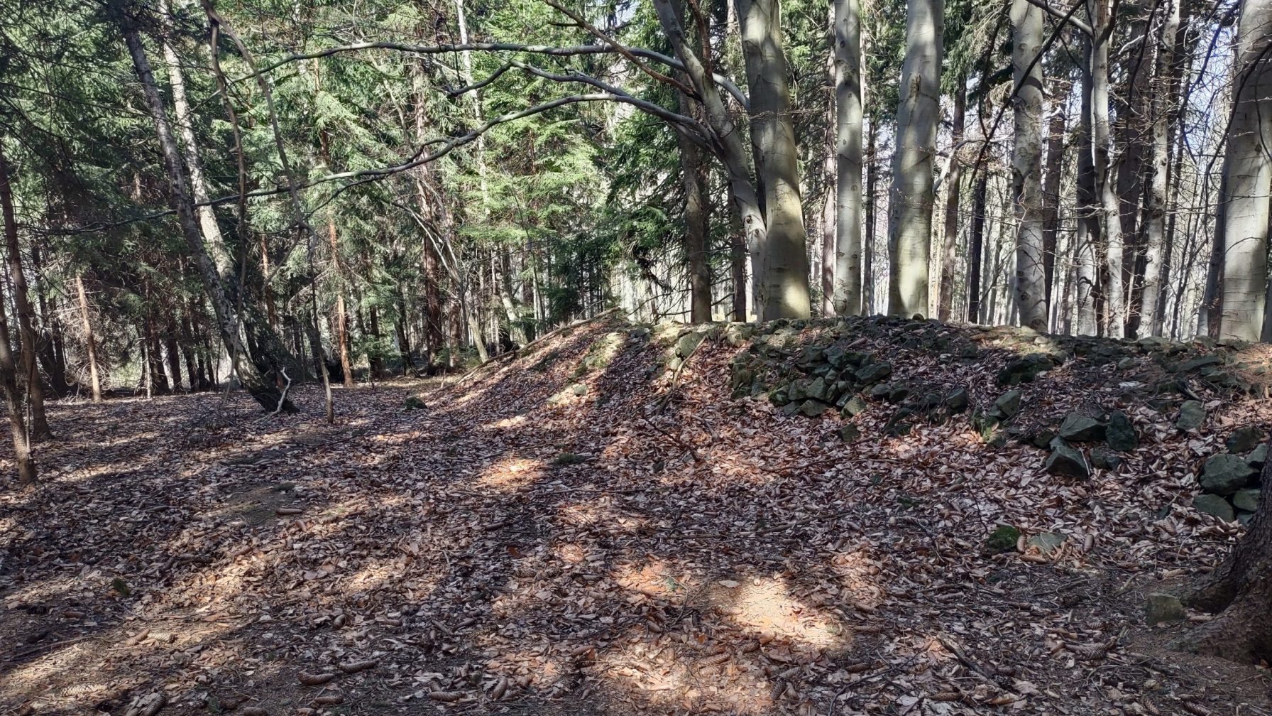Earth wall