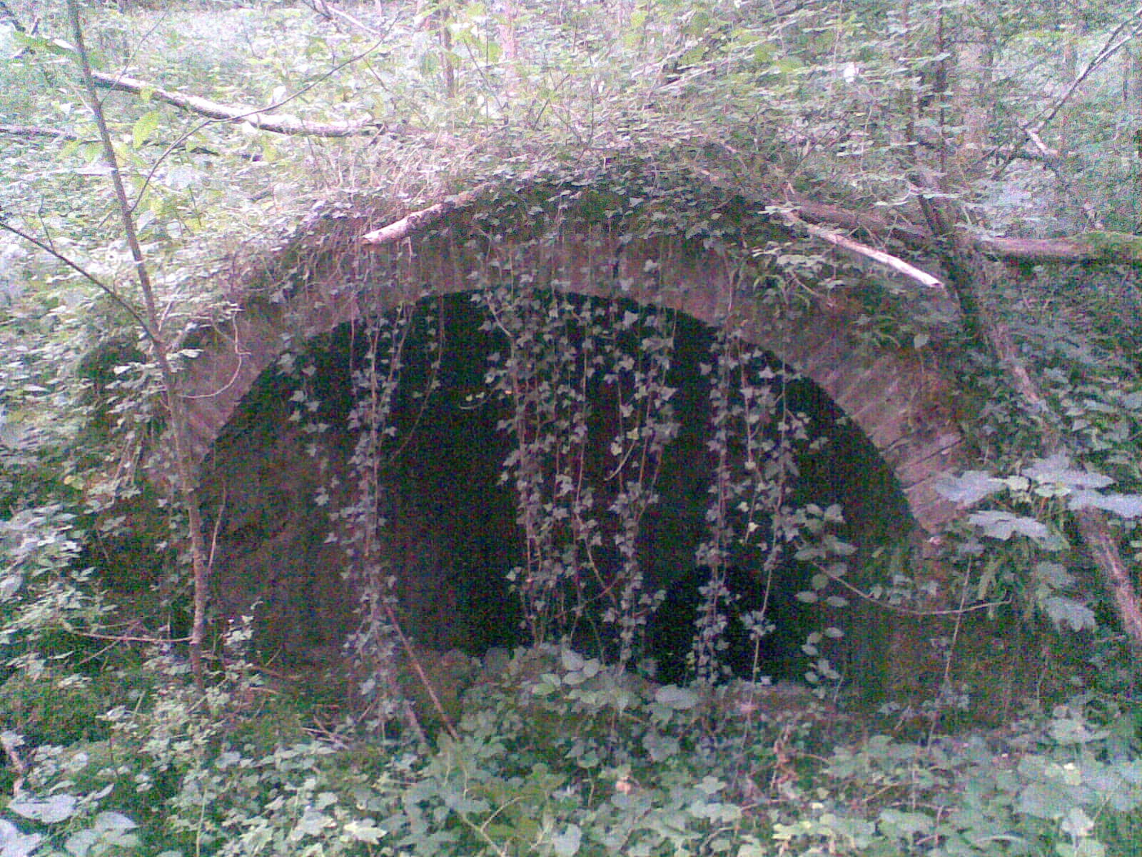 Rocky pit or cave