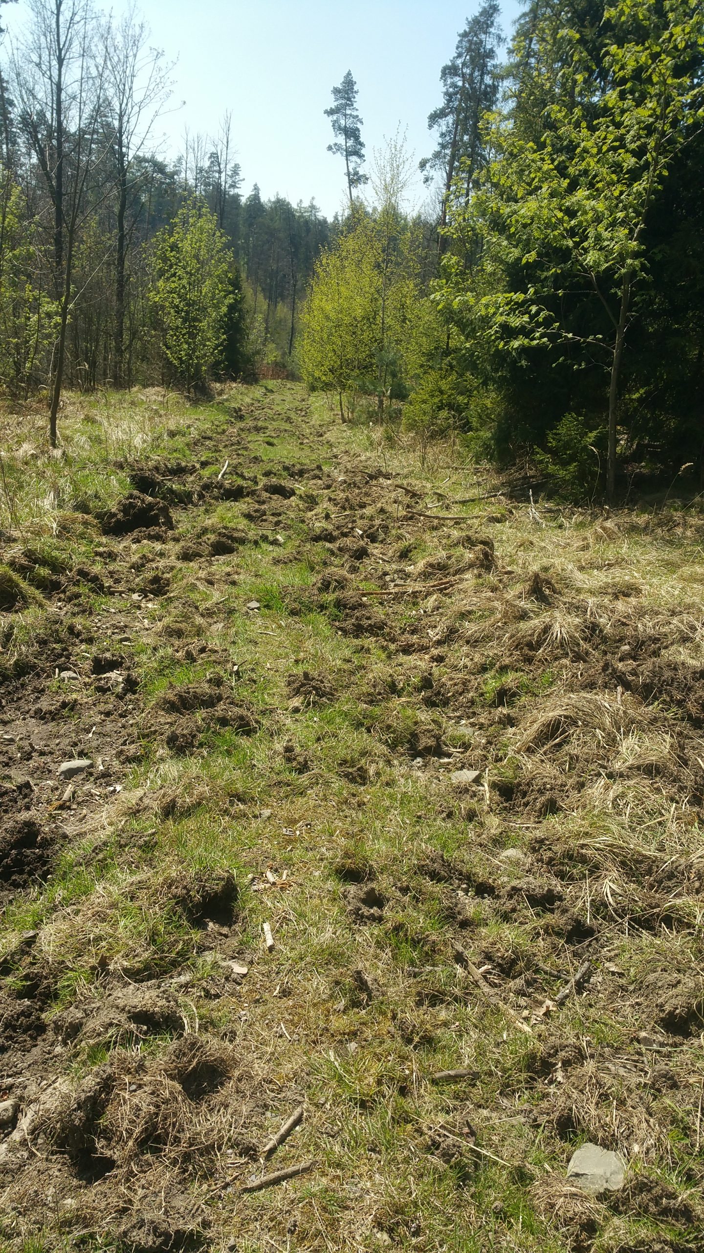 Footpath