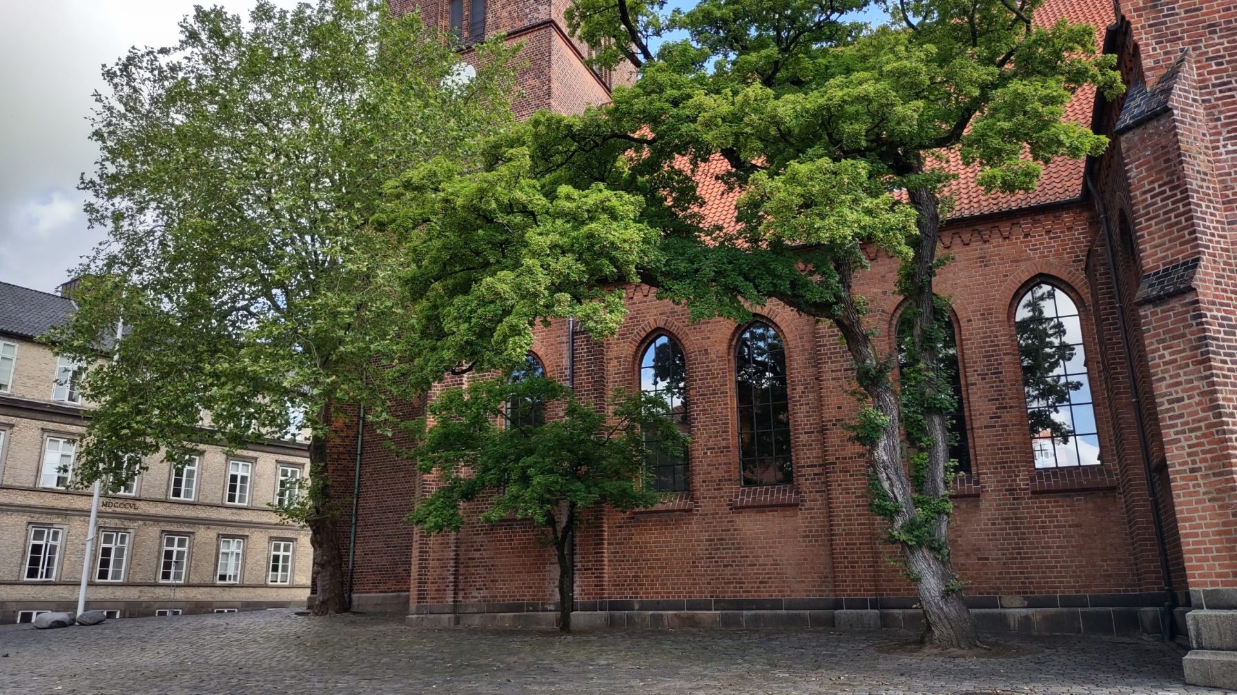 Prominent large trees