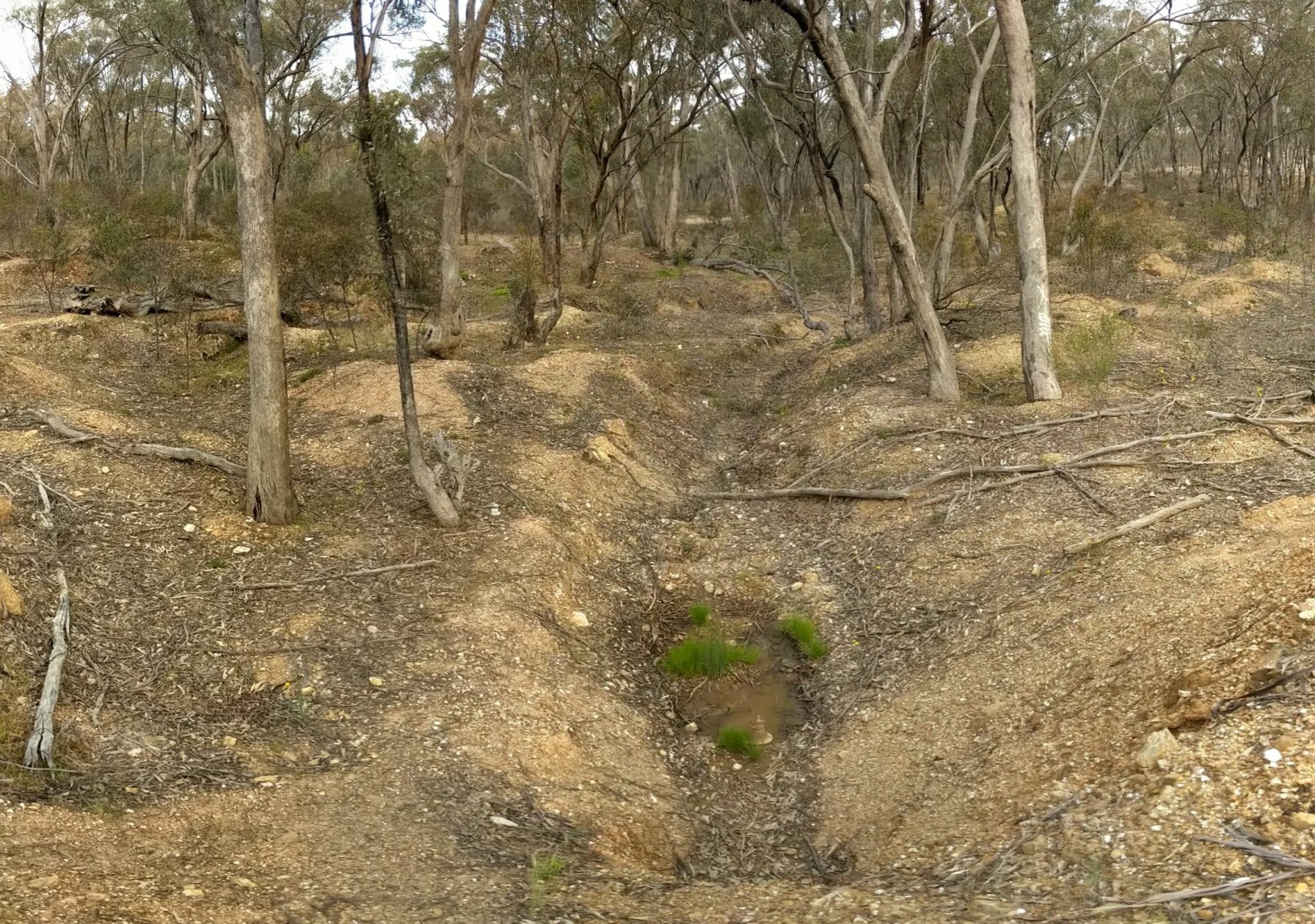 Small erosion gully