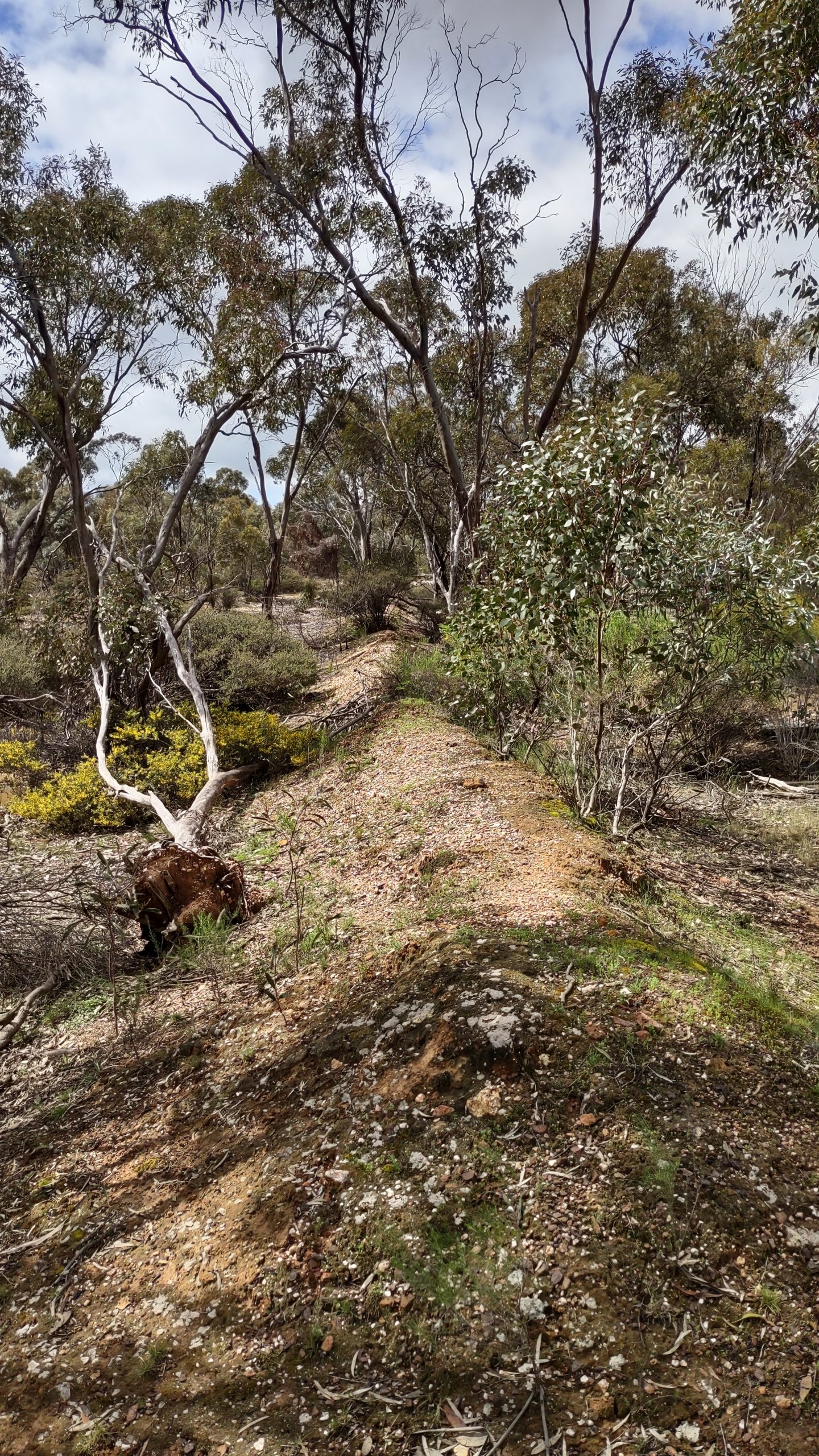 Earth wall