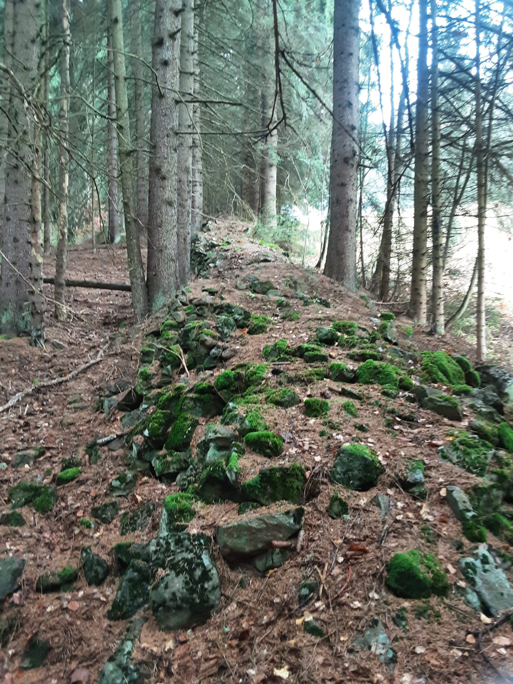 Earth wall